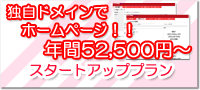 ホームページスタートアッププラン